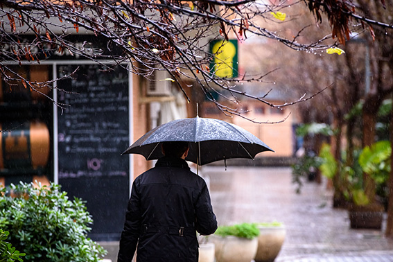 a lonely person walks a rainy day covering himself 2024 10 22 13 43 52 utc